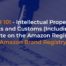 IPR Intellectual property rights