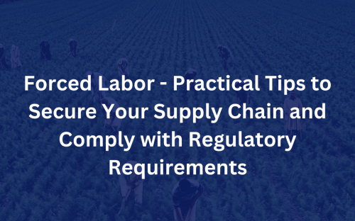 Diaz Trade Law Forced Labor Practical Tips